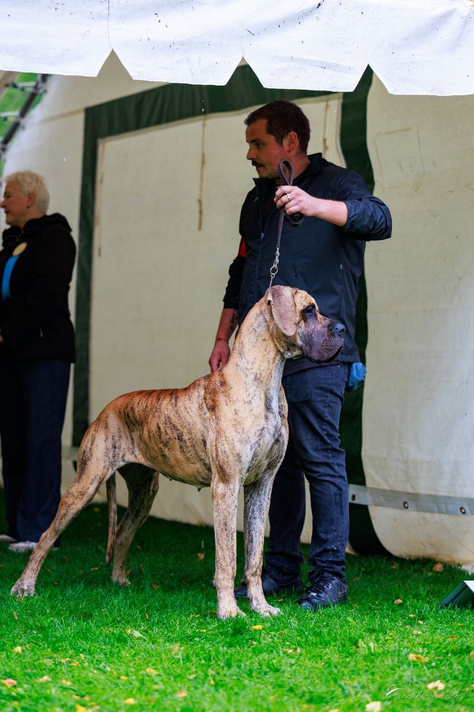 Vasariah dite vegas Du Wekomundo Of Dark Angel's