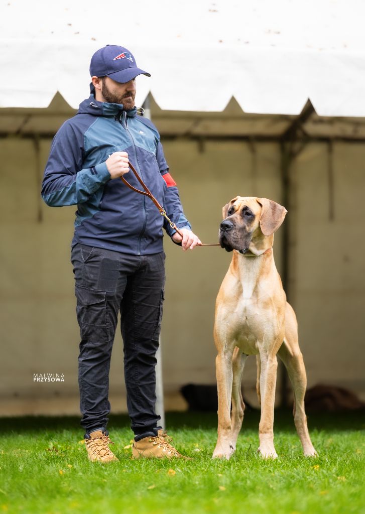 Vidjaïa Du Wekomundo Of Dark Angel's