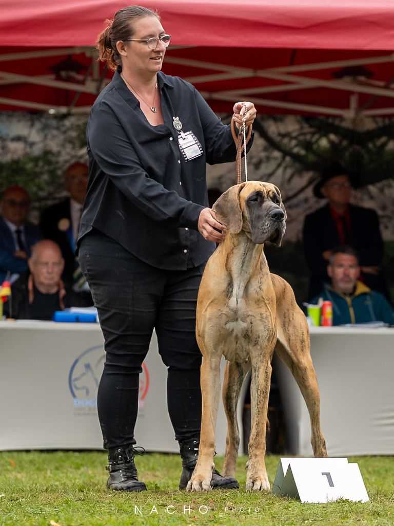 Volkova dite hyôrinmaru Du Wekomundo Of Dark Angel's