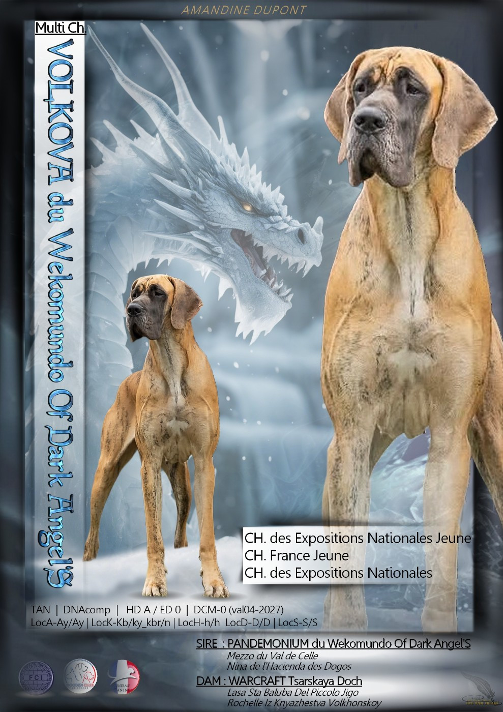 3 nouveaux titres à l'élevage !