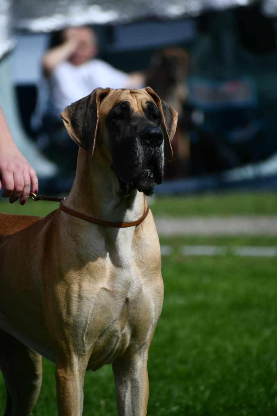 Nouveau titre de championne adulte à l'élevage !